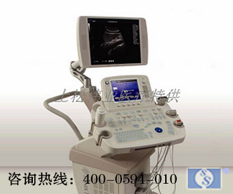 加拿大優勝Sonix